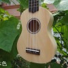 IPRO IP21