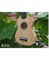 IPRO IP21
