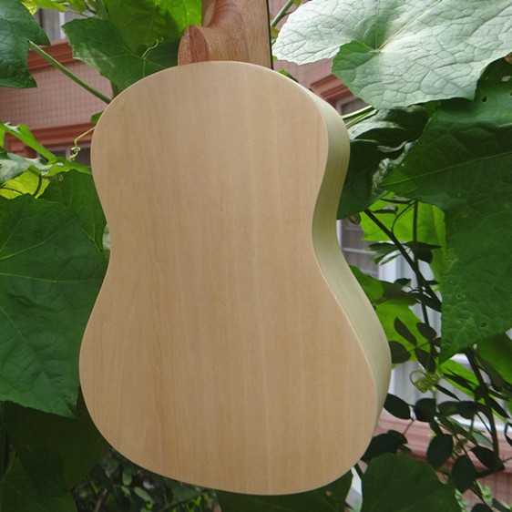 IPRO IP21