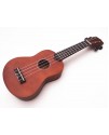 IPRO IP21B IPRO IP21B