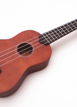 IPRO IP21B