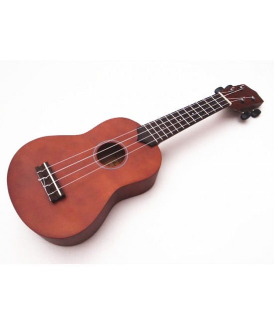 IPRO IP21B IPRO IP21B