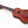 IPRO IP21B