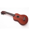 IPRO IP21B IPRO IP21B