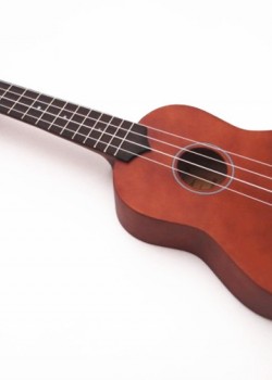 IPRO IP21B