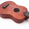 IPRO IP21B