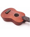 IPRO IP21B IPRO IP21B
