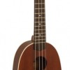 Lanikai LU-21P