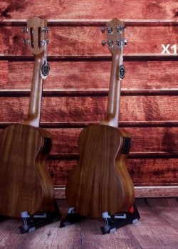 WINLY 23吋 X1/X2 玫瑰木單板 電木小結他