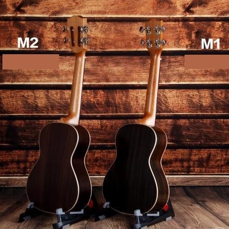 WINLY 23吋 M1/M2 玫瑰木單板小結他
