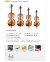 Calvin Sang CS-V03 小提琴 Calvin Sang CS-V03 小提琴