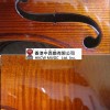 Calvin Sang CS-V05 小提琴