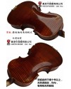 Calvin Sang CS-V07 小提琴